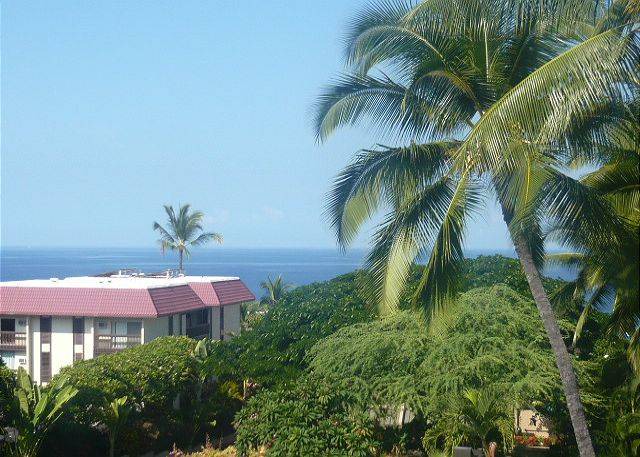 Photo of Others in Historic Kailua Village