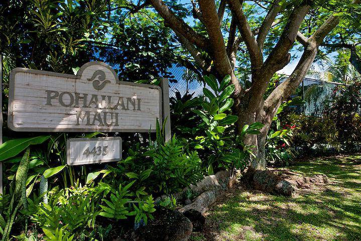 Photo of Others in Kahana