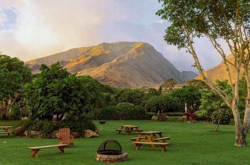 Photo of Outdoor in Paia