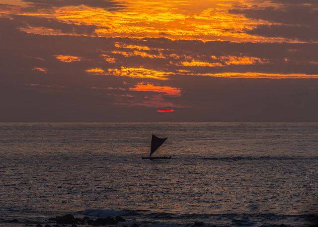 Photo of Others in Kahaluu Bay