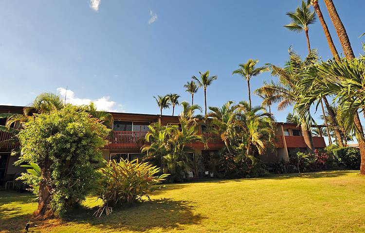 Photo of Others in Honokowai