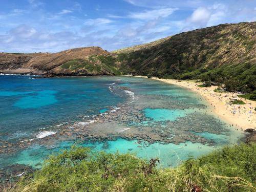 Photo of Others in McCully - Moiliili