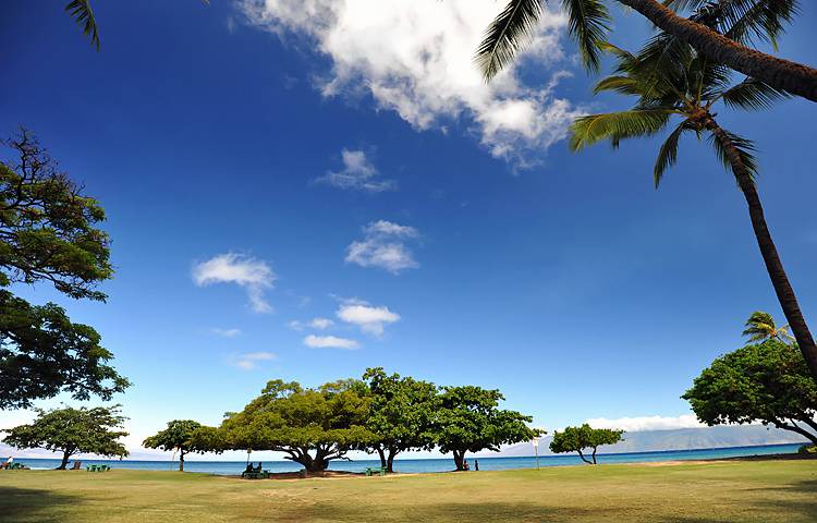 Photo of Others in Honokowai