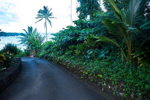 Photo of Others in Hana