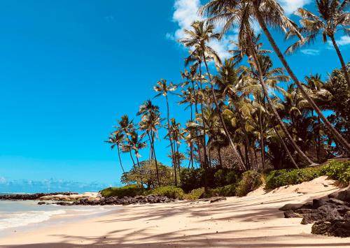 Photo of Outdoor in Kihei