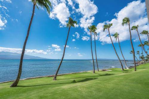 Photo of Others in Maalaea