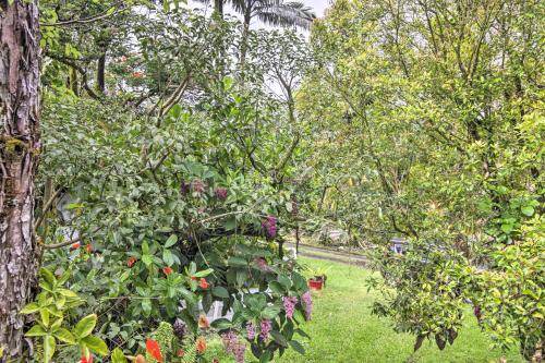 Photo of Outdoor in Leilani Estates