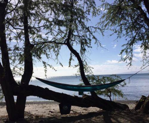 Photo of Others in Paia