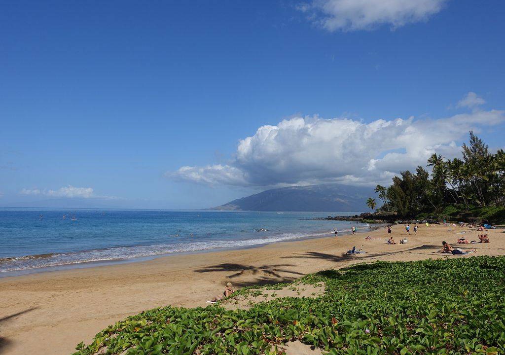 Photo of Others in Kihei