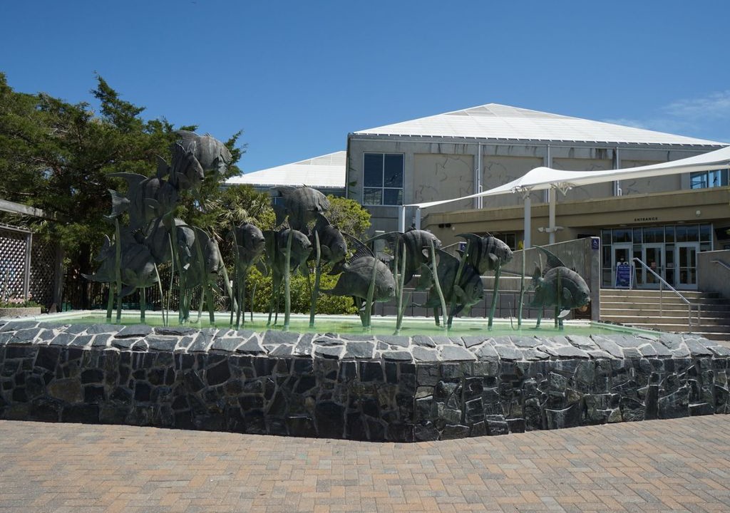 Photo of Buildings in North Carolina Coast