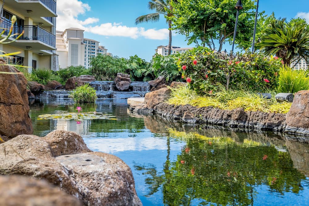 Photo of Others in Kapolei