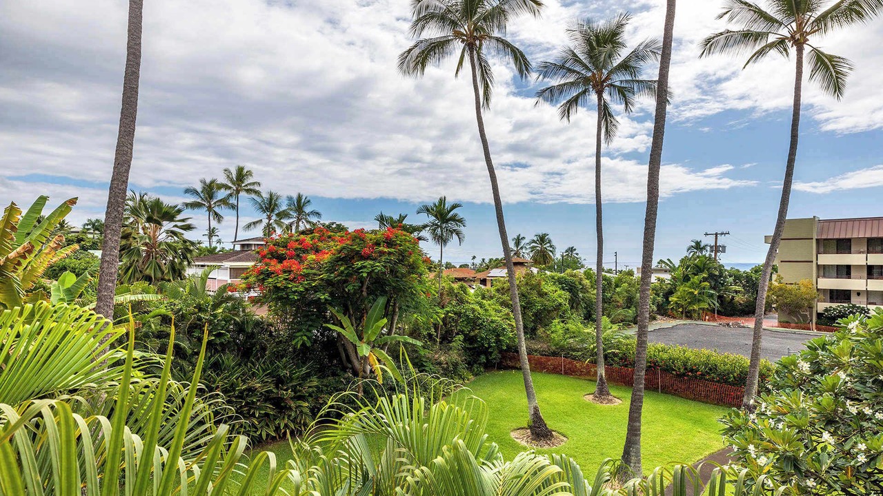 Photo of Outdoor in Kahaluu Bay