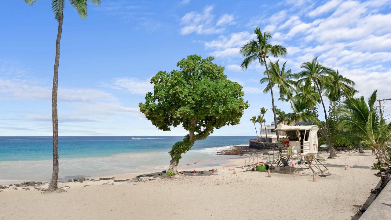 Photo of Others in Kahaluu Bay