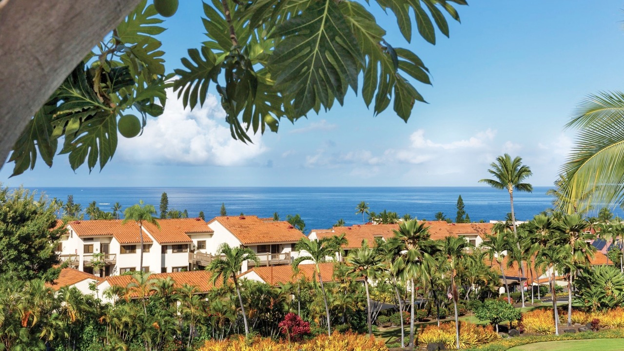 Photo of Others in Kahaluu-Keauhou