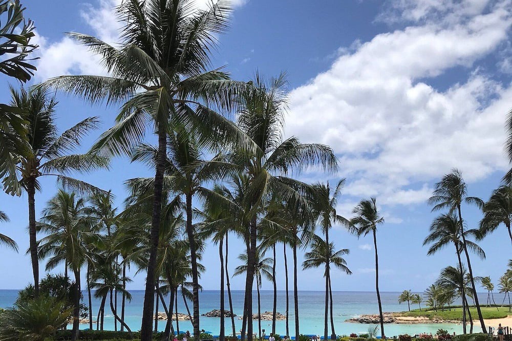 Photo of Others in Ko Olina