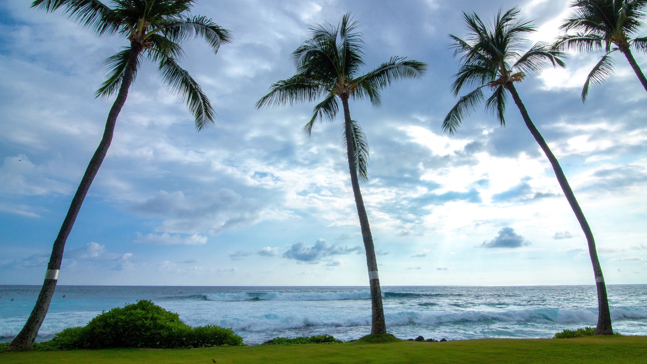 Photo of Others in Historic Kailua Village