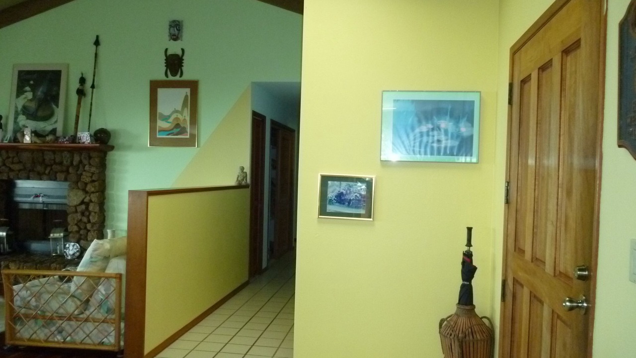 Photo of Livingroom in Honaunau-Napoopoo