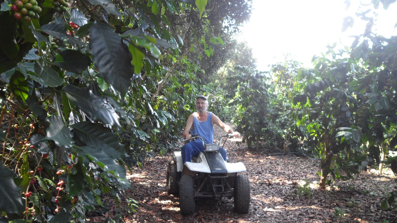Photo of Outdoor in Honaunau-Napoopoo