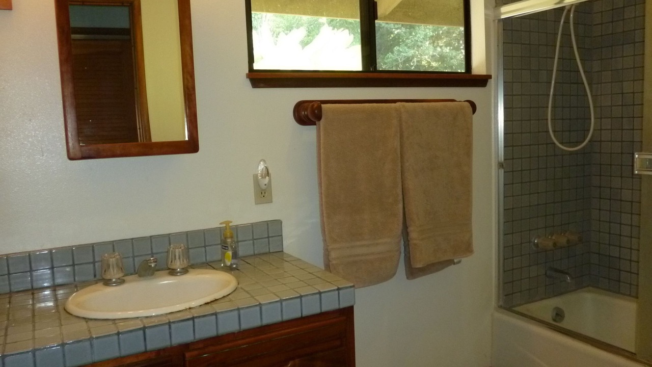 Photo of Bathroom in Honaunau-Napoopoo