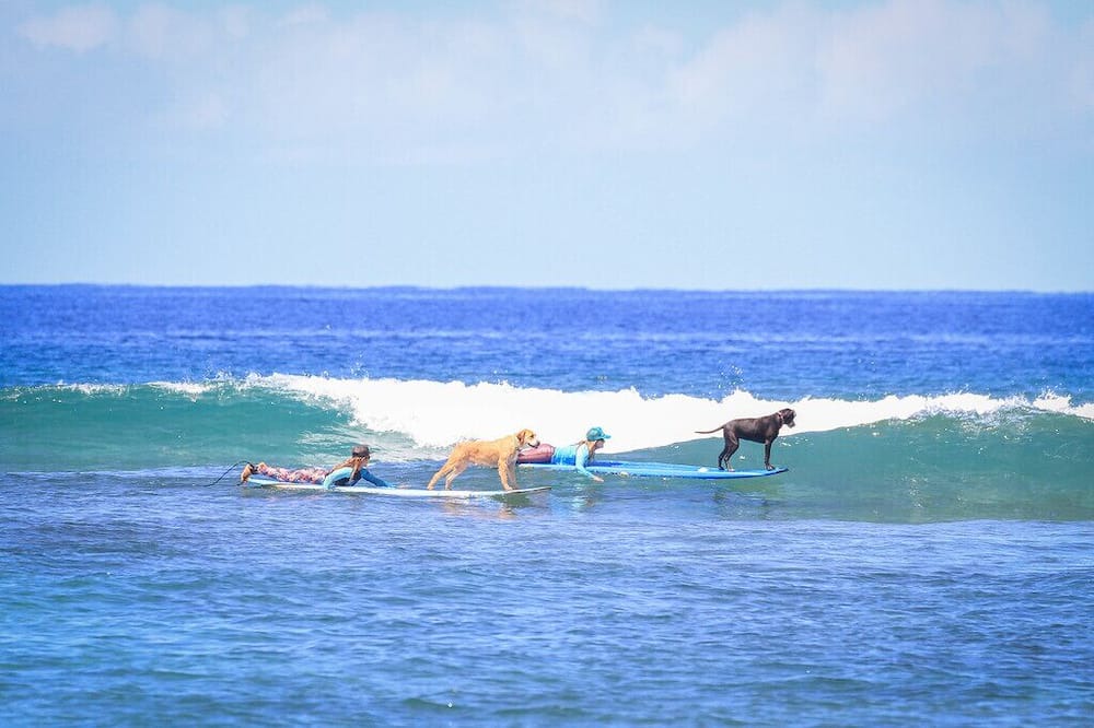 Photo of Others in Kapalua