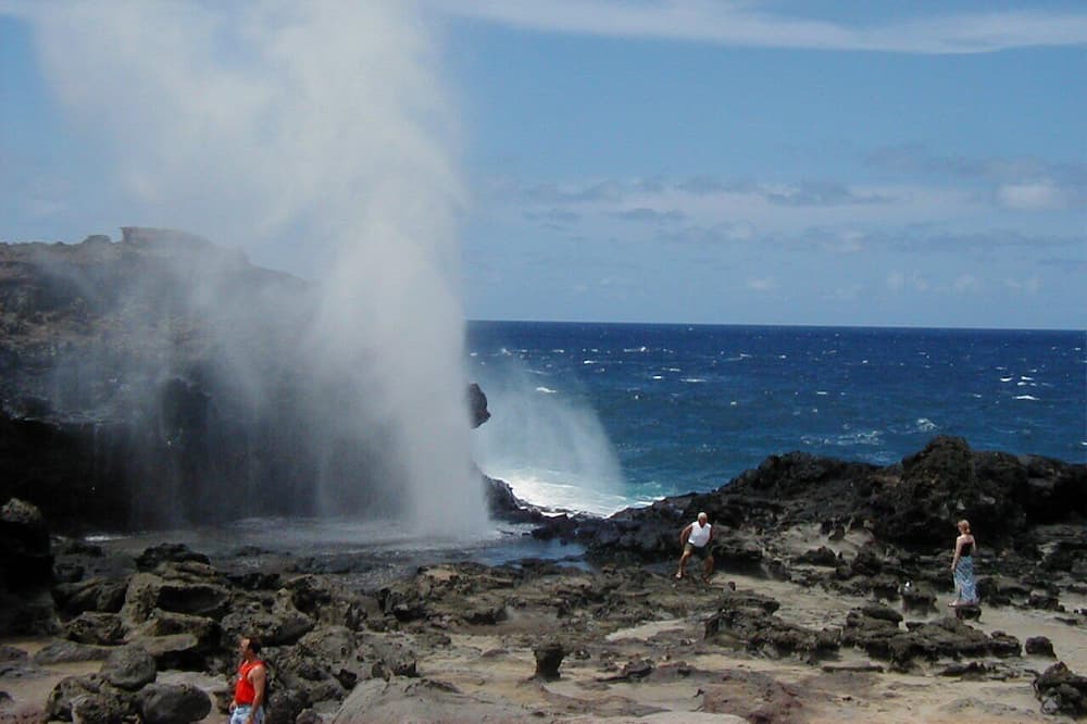 Photo of Others in Kapalua