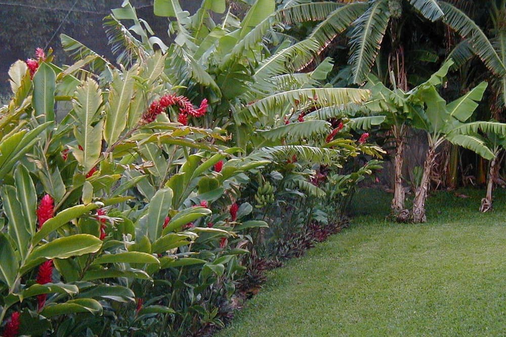 Photo of Outdoor in Kapalua