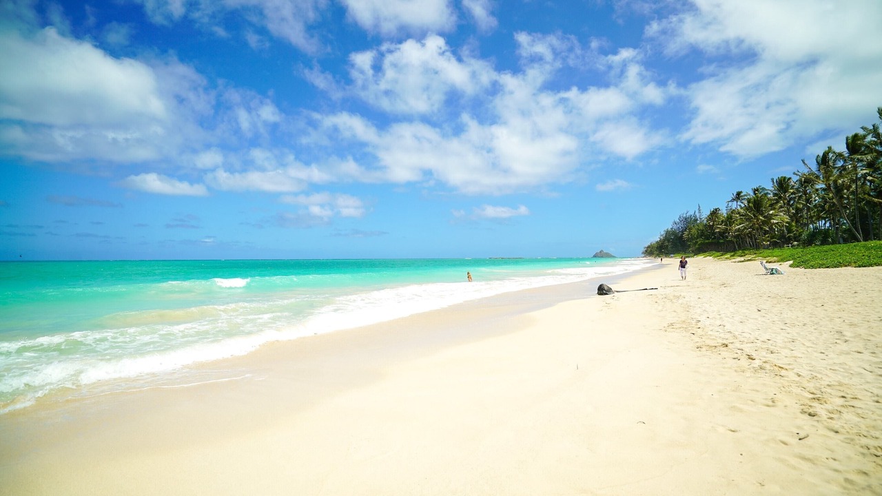 Photo of Others in Kailua