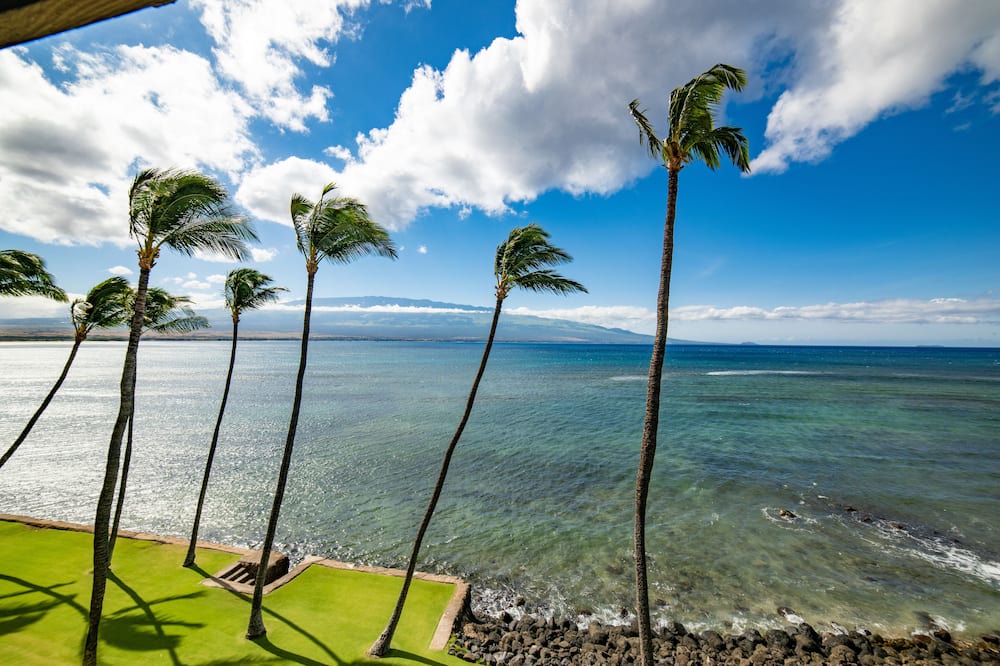 Photo of Others in Wailuku Heights