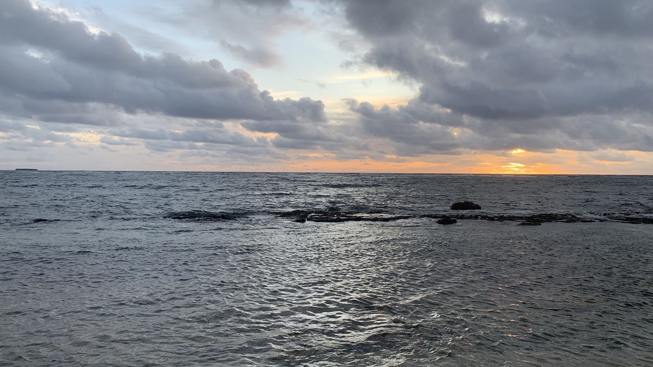 Photo of Others in Hauula