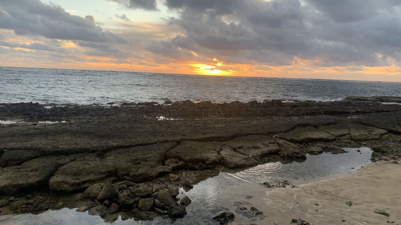 Photo of Others in Hauula