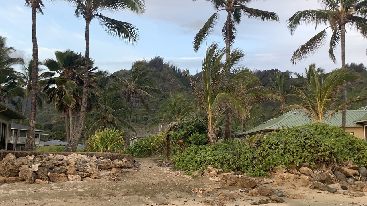 Photo of Others in Hauula