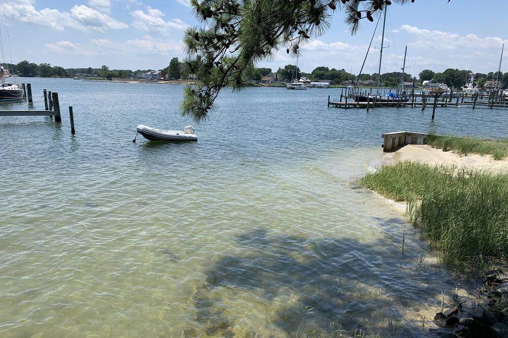 Photo of Others in Deltaville