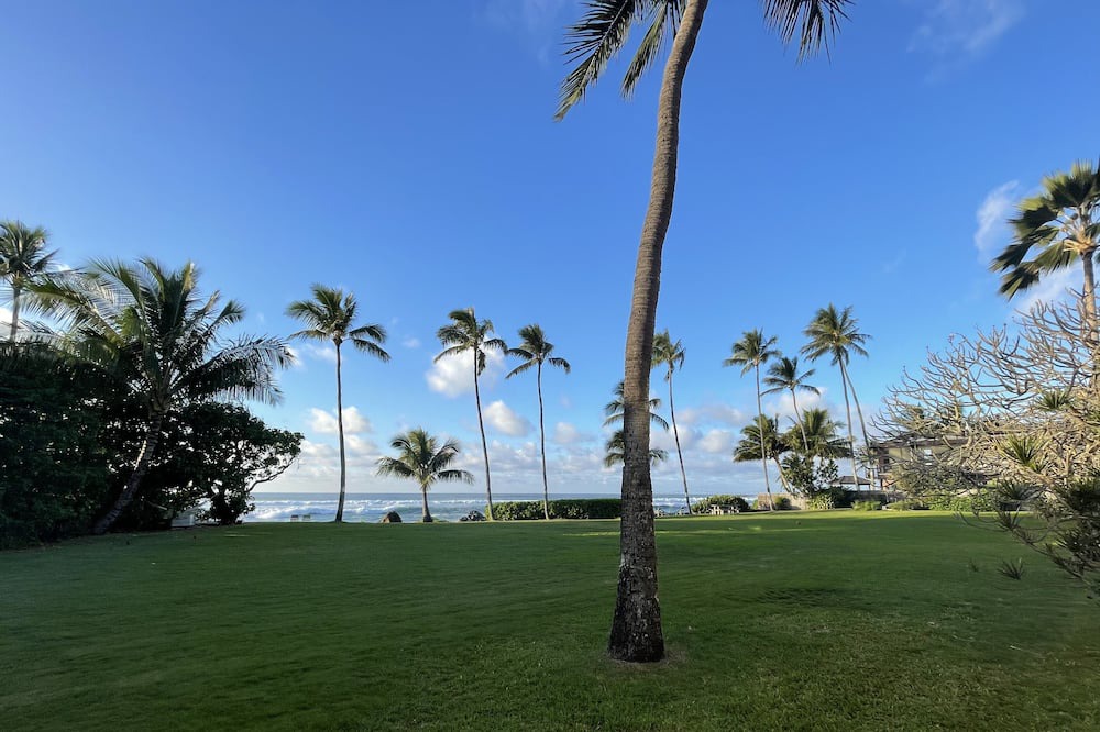 Photo of Others in Haleiwa