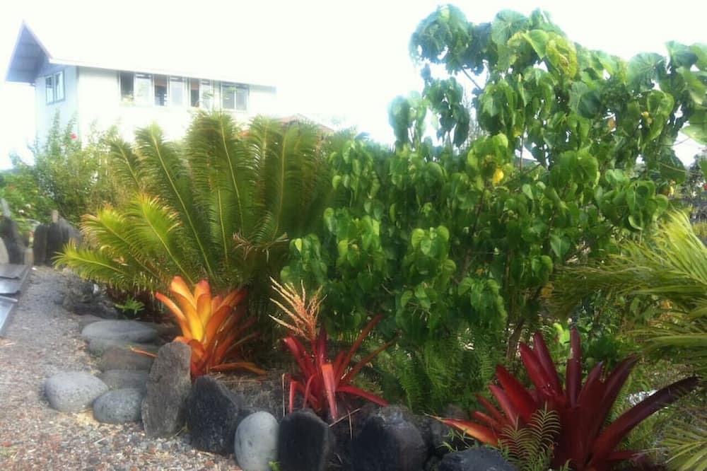 Photo of Outdoor in Pahoa
