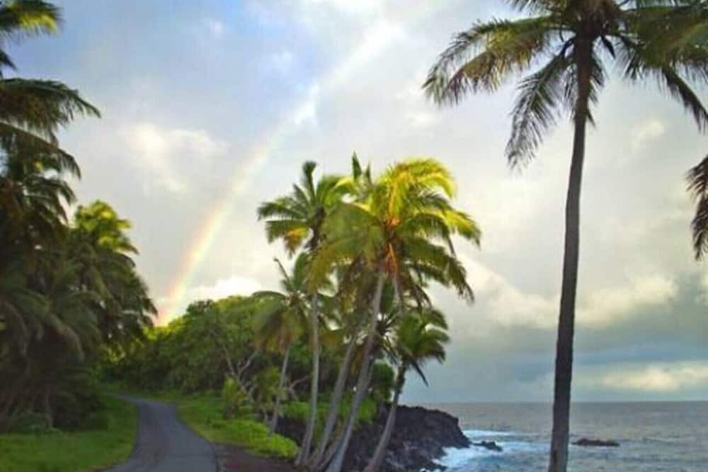 Photo of Others in Pahoa