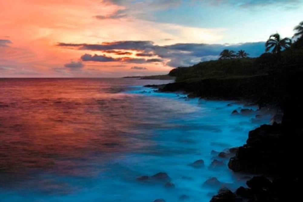 Photo of Others in Pahoa