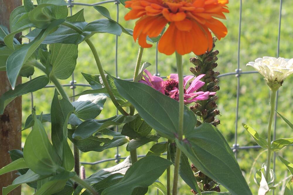 Photo of Outdoor in Campobello