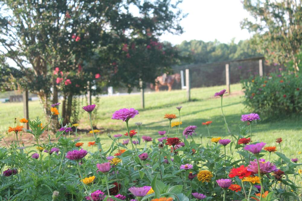 Photo of Outdoor in Campobello