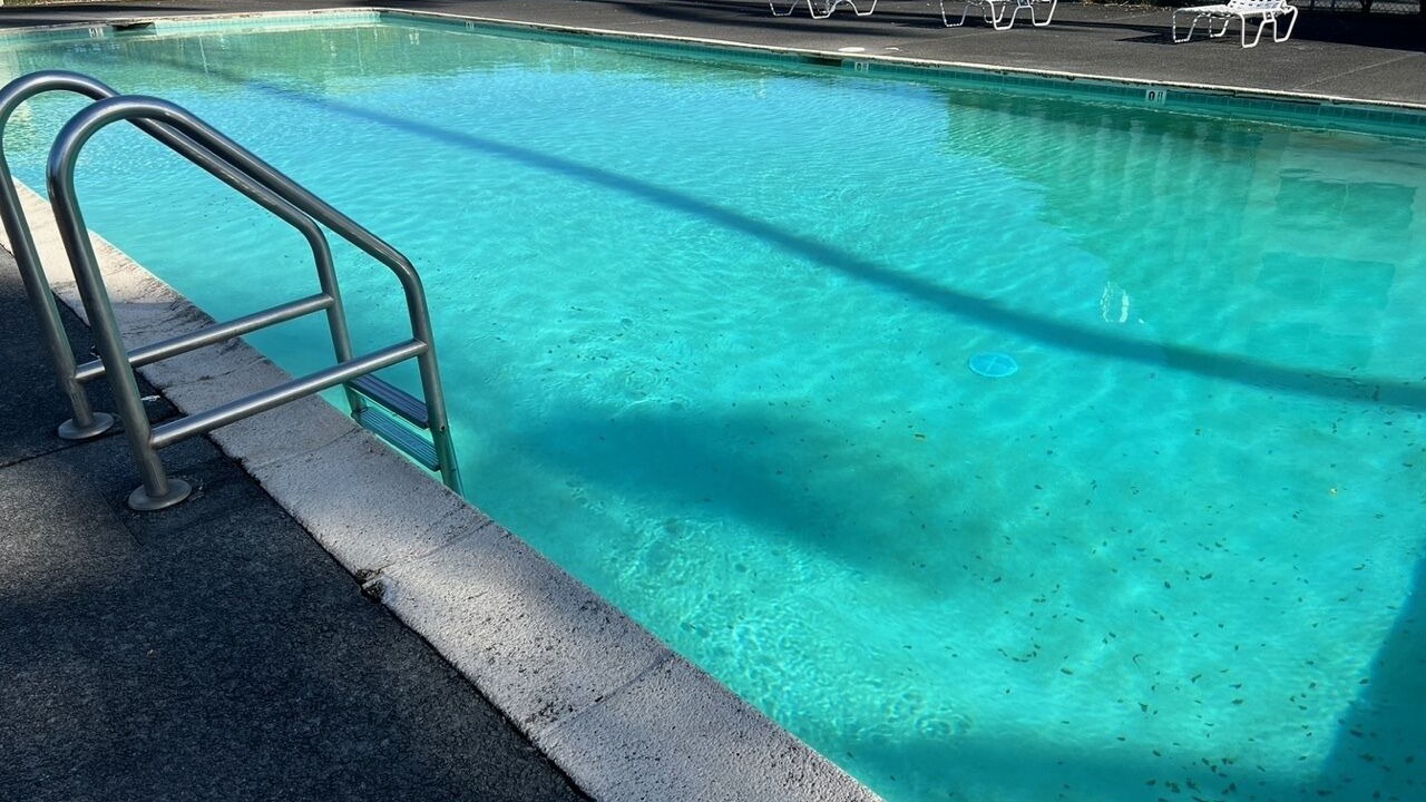 Photo of Outdoor in Hilo
