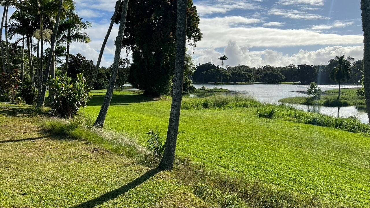 Photo of Outdoor in Hilo
