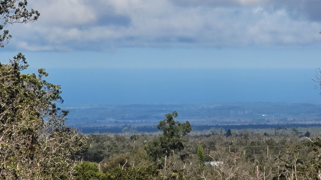 Photo of Outdoor in Royal Hawaiian Estates