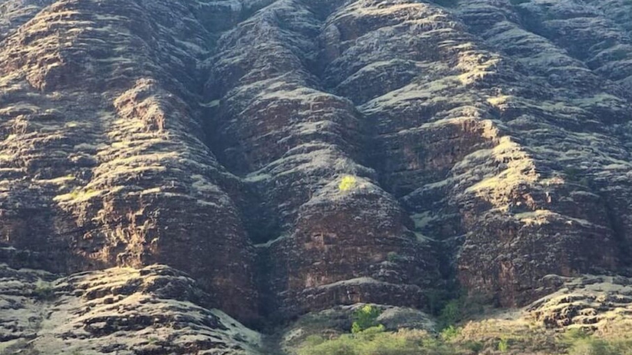 Photo of Others in Makaha Valley