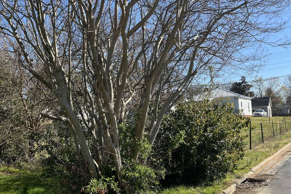 Photo of Outdoor in Graham