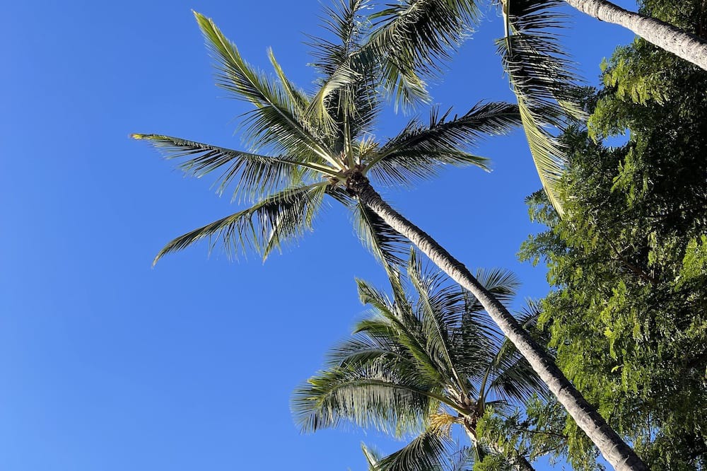 Photo of Outdoor in Halawa