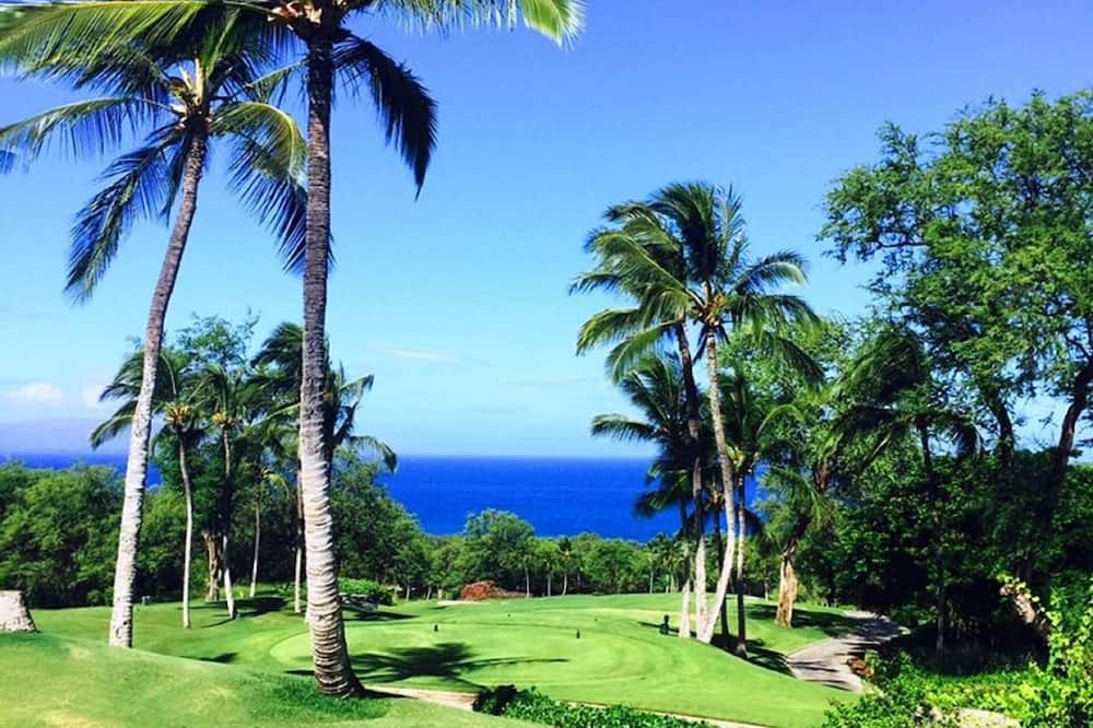 Photo of Others in Maalaea