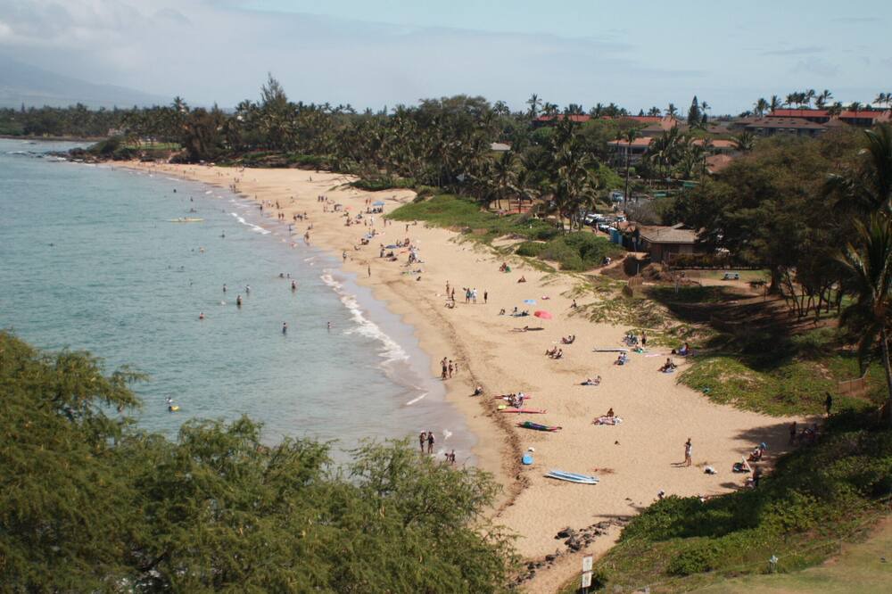 Photo of Others in Maalaea