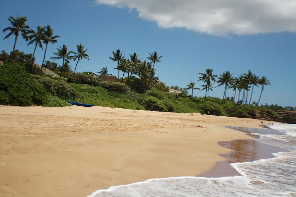 Photo of Others in Maalaea