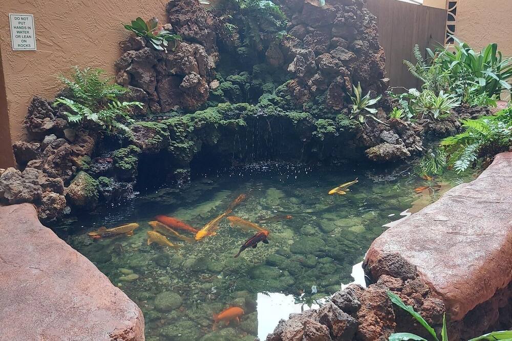 Photo of Others in Maalaea