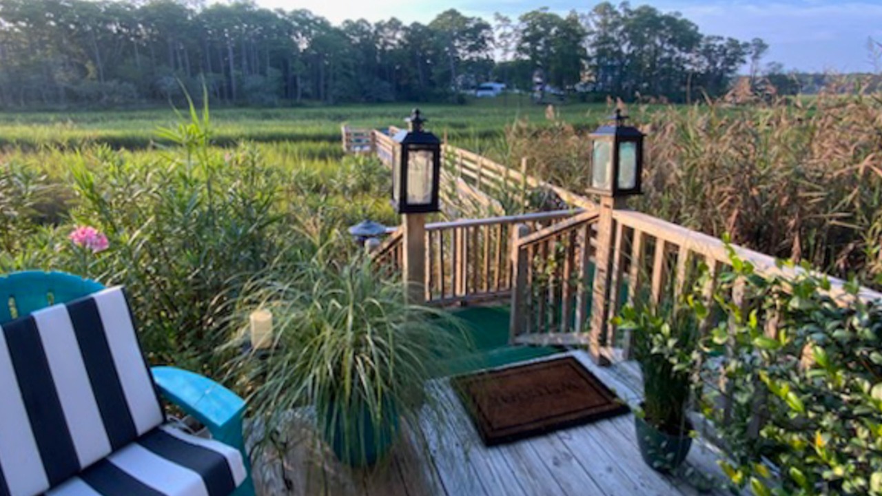 Photo of Outdoor in Shallotte