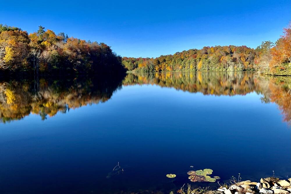 Photo of Outdoor in Newland
